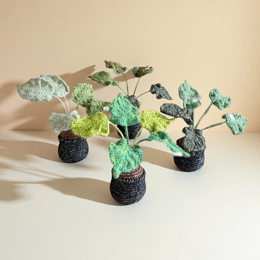Handmade Crochet Monstera Plant Pot – Cute Desk Decoration